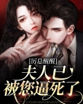 厉总你的夫人又闯祸了
