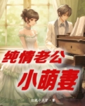 纯情老公小萌妻结局是什么
