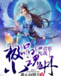 极品魂销