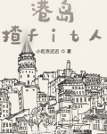 港岛揸fit人