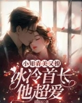 小知青美又撩冰冷首长他超爱