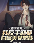 妻子背叛遭报复的小说
