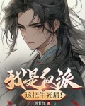 我是反派,这把生死局小说