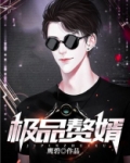 穿越古代入赘当姑爷小说