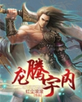 龙腾宇内