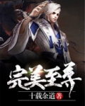 完美至尊