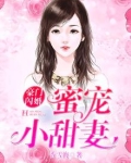 豪门闪婚：蜜宠小甜妻