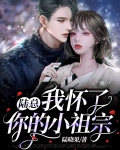陆总，我怀了你的小祖宗