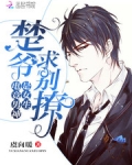 电竞男神是女生：楚爷，求别撩！