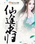 仙途求索