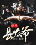 极品县太爷小说