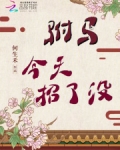 驸马今天招了没？