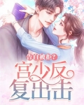 宫少追妻套路深全文免费阅读