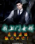 我上门女婿：龙有逆鳞，触之必亡！