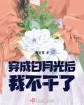 穿成白月光后我不断作死 小说