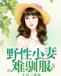 野性难驯小说镜片里