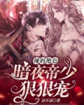 辣妈绝色：暗夜帝少狠狠宠