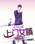 有关上门女婿完结小说