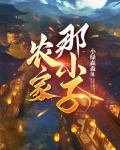 农家小子的科举之路彦王爷格格党