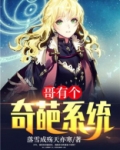 哥有个奇葩系统txt