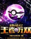 宠物小精灵之王者无双