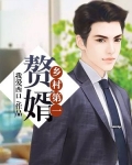 乡村第一赘婿 小说