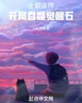 全职法师：开局吞噬觉醒石