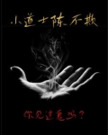 小道士陈不欺 智能小说网盘下载