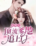 退婚后，顶流爹地追上门