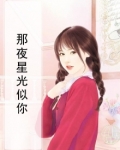 那夜的星星作文
