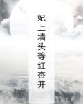墙头等红杏小说免费阅读