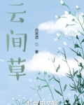 云间草的养护
