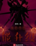 我的符文能升级