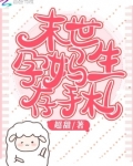 末世孕妈生存手札 小说