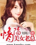 情陷美女老总