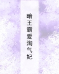 暗王霸爱淘气妃