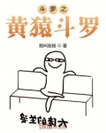 斗罗之黄猿斗罗