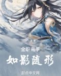 全职高手:如影随形笔趣阁