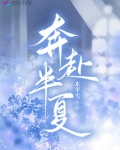 奔赴半夏