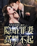隐婚罪妻，高攀不起