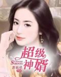 超级神婿简介
