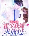 霍少今天退婚