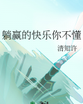 小说躺平的快乐你不懂