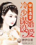 宠妻冷少已上线 小说