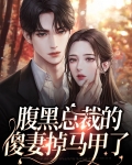 小说腹黑总裁傻妻小说