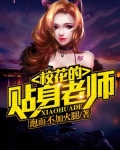 校花的贴身老师 纳兰凌风