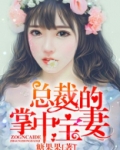 总裁的掌中宝妻 小说