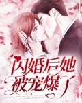 闪婚后我被大佬宠哭了