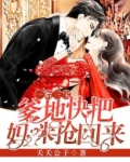 一胎三宝:爹地,快把妈咪抢回来 夭夭公子
