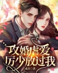 攻婚掠爱总裁老公霸道宠